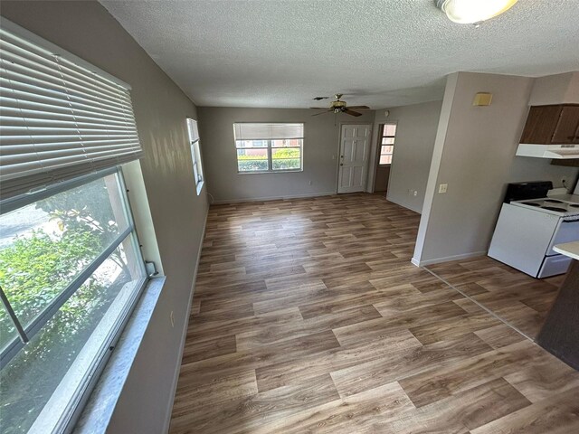 3025 54th St S, Gulfport, FL 33707 - photo 12