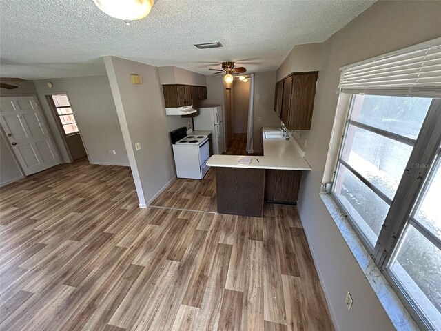 3025 54th St S, Gulfport, FL 33707 - photo 13