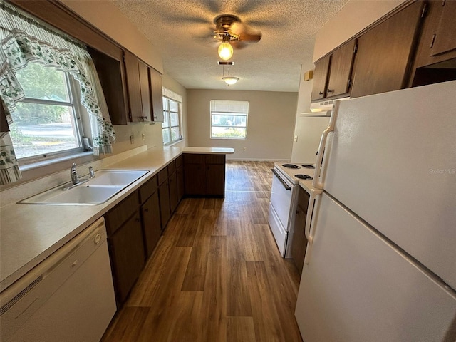3025 54th St S, Gulfport, FL 33707 - photo 16