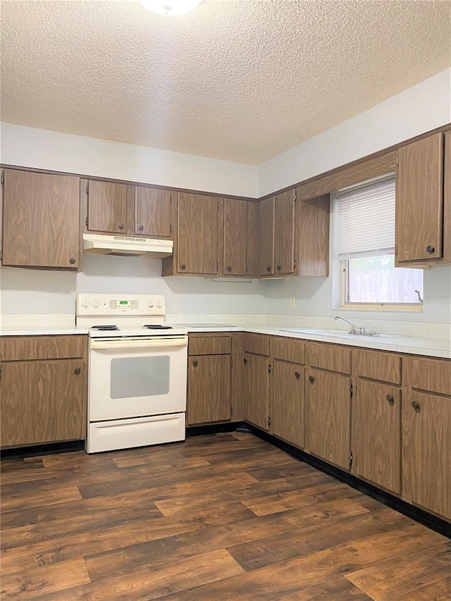 3025 54th St S, Gulfport, FL 33707 - photo 24