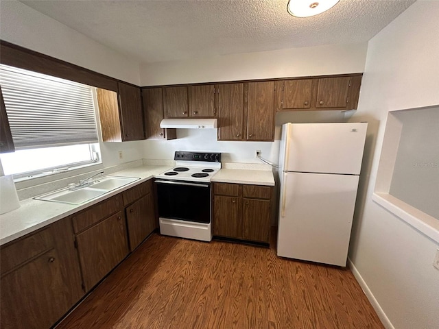 3025 54th St S, Gulfport, FL 33707 - photo 28