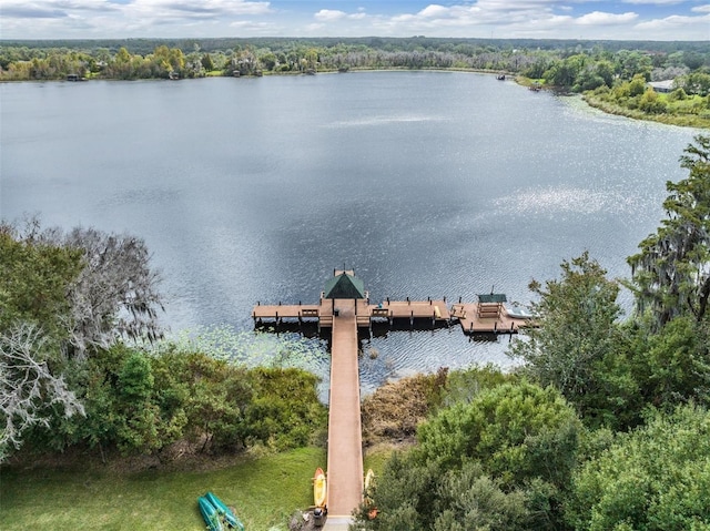 7815 Blue Spring Dr, Land O Lakes, FL 34637 - drone / aerial view featuring a water view