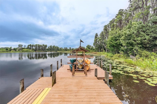 7815 Blue Spring Dr, Land O Lakes, FL 34637 - view of dock with a water view