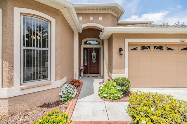 7815 Blue Spring Dr, Land O Lakes, FL 34637 - doorway to property featuring stucco siding and a garage