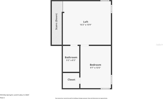 7815 Blue Spring Dr, Land O Lakes, FL 34637 - view of layout