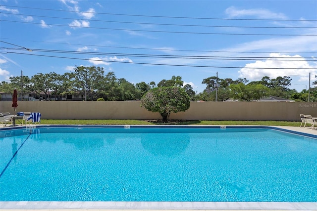 2693 Sabal Springs Cir Unit 201, Clearwater, FL 33761 - photo 46