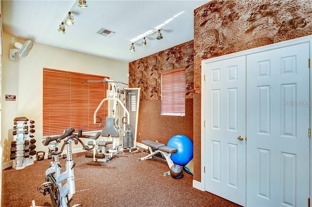 6303 Vista Verde Dr E, Gulfport, FL 33707 - workout room with baseboards, rail lighting, and visible vents