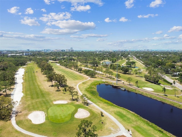 1500 Elmwood St, Clearwater, FL 33755 - photo 96