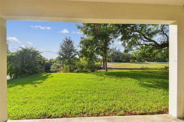 view of yard