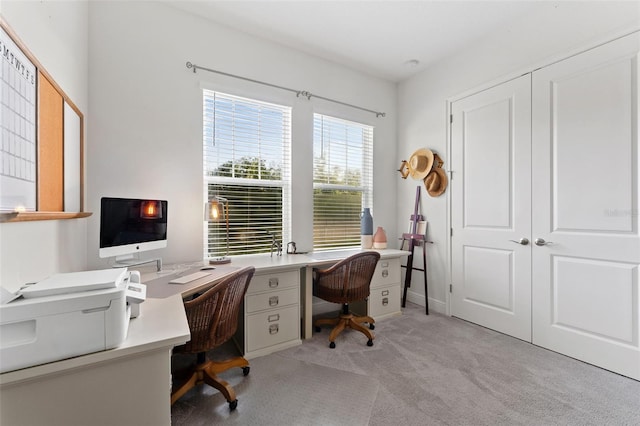 office area with light carpet