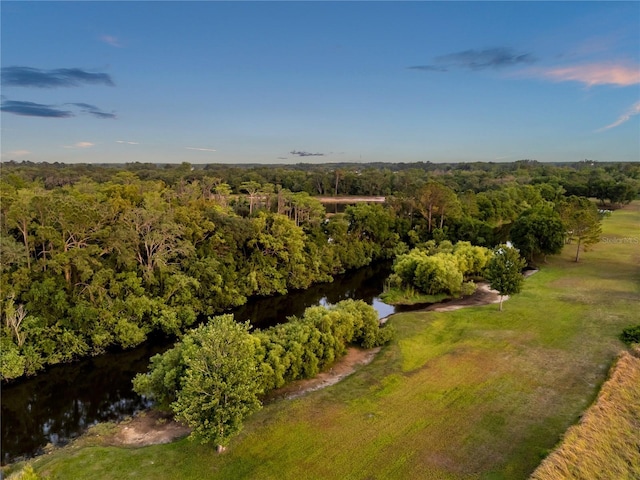 bird's eye view featuring a water view and a forest view