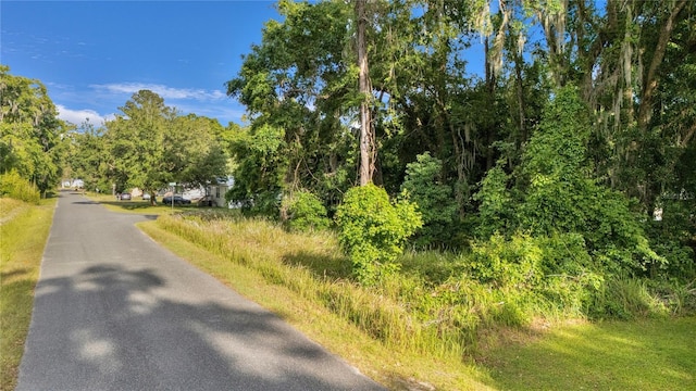 TBD NW 14th Ave, Ocala, FL 34475 - photo 1