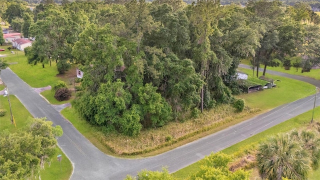 TBD NW 14th Ave, Ocala, FL 34475 - photo 17