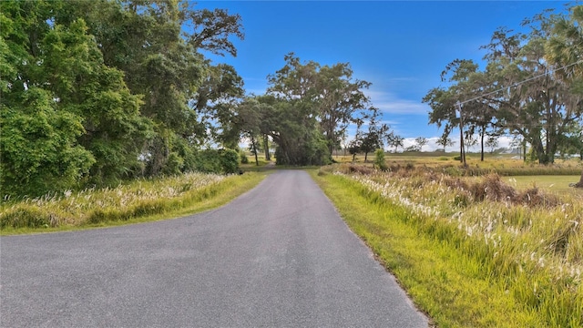 TBD NW 14th Ave, Ocala, FL 34475 - photo 18
