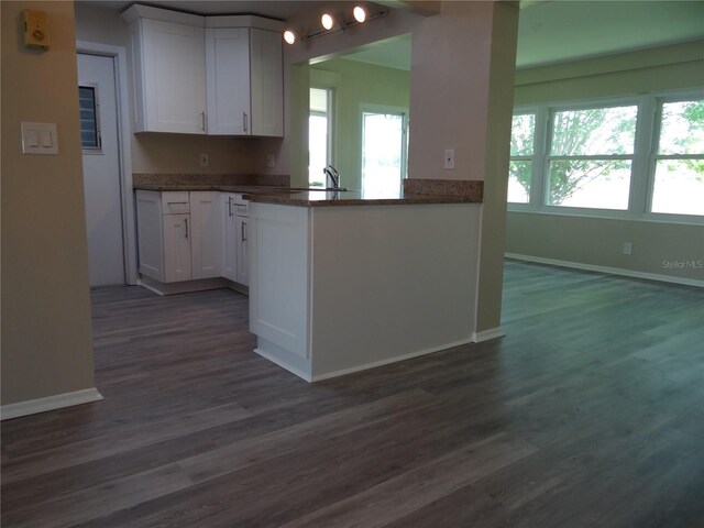 9825 41st St N, Pinellas Park, FL 33782 - kitchen featuring white cabinetry, plenty of natural light, and dark wood-type flooring