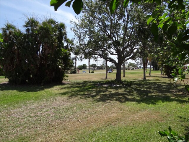 9825 41st St N, Pinellas Park, FL 33782 - view of yard