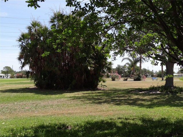 9825 41st St N, Pinellas Park, FL 33782 - view of yard