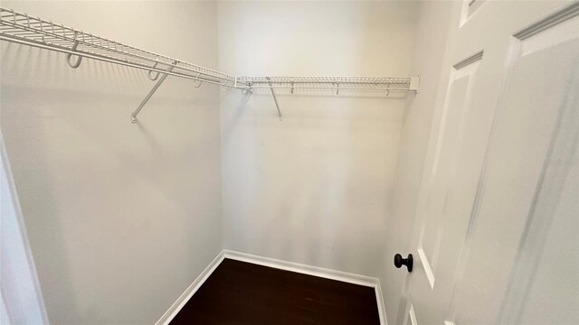 28818 Midnight Star Loop, Wesley Chapel, FL 33543 - view of spacious closet