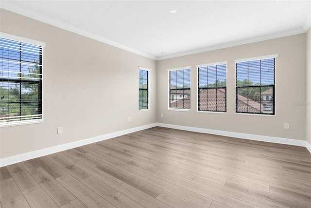 21878 Amelia Rose Way, Land O Lakes, FL 34637 - photo 38