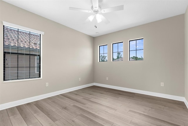 21878 Amelia Rose Way, Land O Lakes, FL 34637 - photo 51
