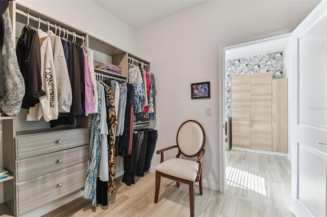 spacious closet with light wood-style floors