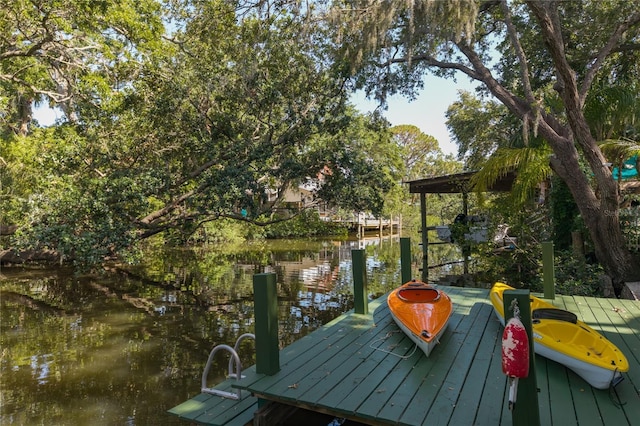7417 Seagull Way, Tampa, FL 33635 - dock featuring a water view