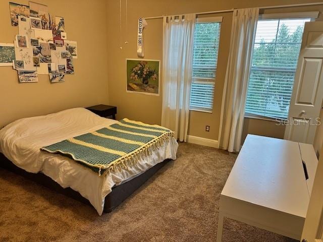 bedroom featuring multiple windows and carpet