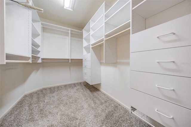 2704 Chambray Ln, Tampa, FL 33611 - spacious closet with carpet