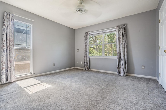 2704 Chambray Ln, Tampa, FL 33611 - carpeted spare room with a ceiling fan and baseboards