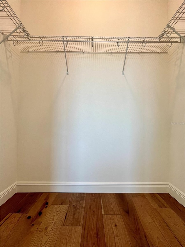 spacious closet featuring wood finished floors