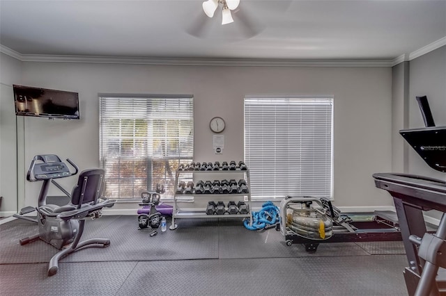 exercise area featuring crown molding and a ceiling fan
