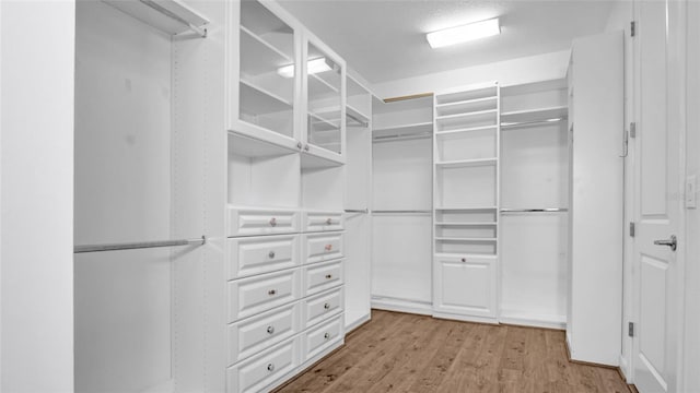 11720 Navajo Sandstone St, Riverview, FL 33579 - spacious closet featuring wood finished floors
