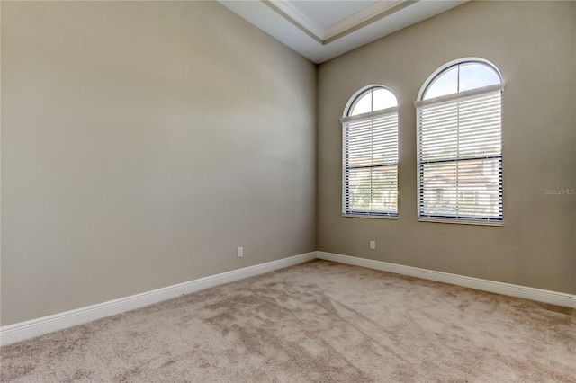 4975 Night Star Trl, Odessa, FL 33556 - spare room featuring light carpet and baseboards