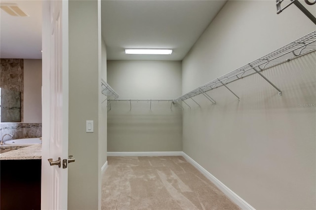4975 Night Star Trl, Odessa, FL 33556 - walk in closet with light carpet