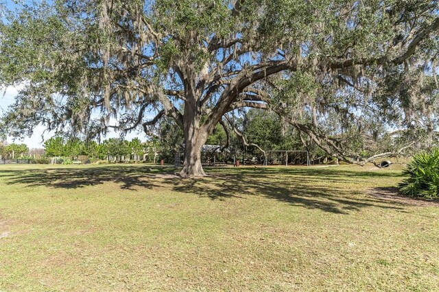 4975 Night Star Trl, Odessa, FL 33556 - view of grassy yard