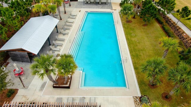 4975 Night Star Trl, Odessa, FL 33556 - community pool with a patio area and a lawn