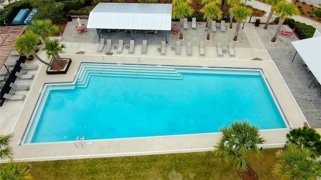 4975 Night Star Trl, Odessa, FL 33556 - view of swimming pool