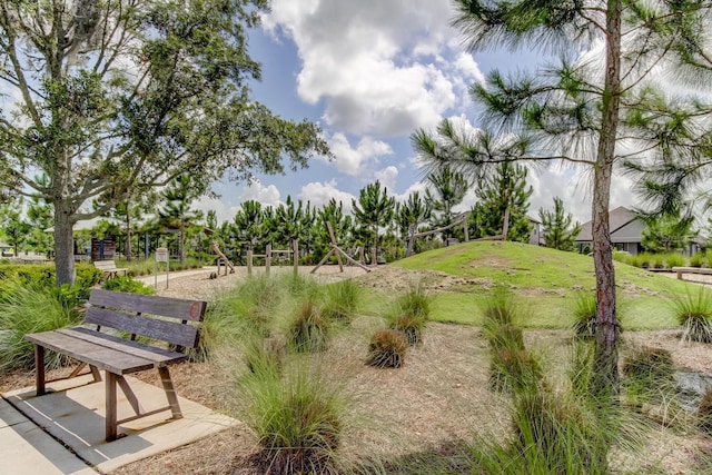 4975 Night Star Trl, Odessa, FL 33556 - view of surrounding community