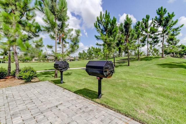 4975 Night Star Trl, Odessa, FL 33556 - surrounding community featuring a patio and a yard