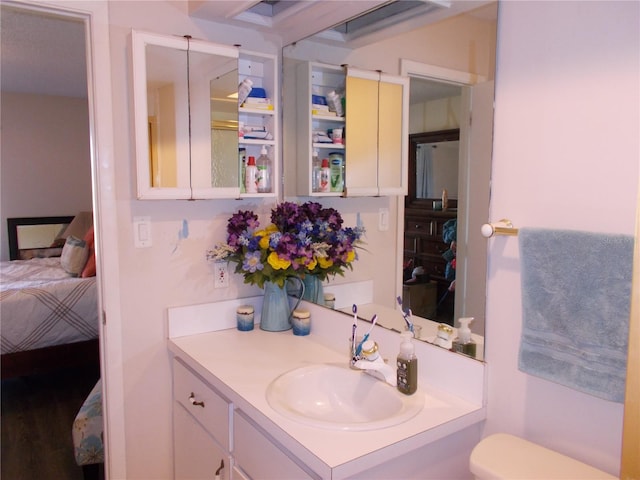 bathroom with toilet, vanity, and ensuite bathroom