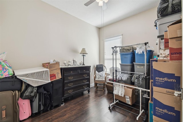 storage with ceiling fan