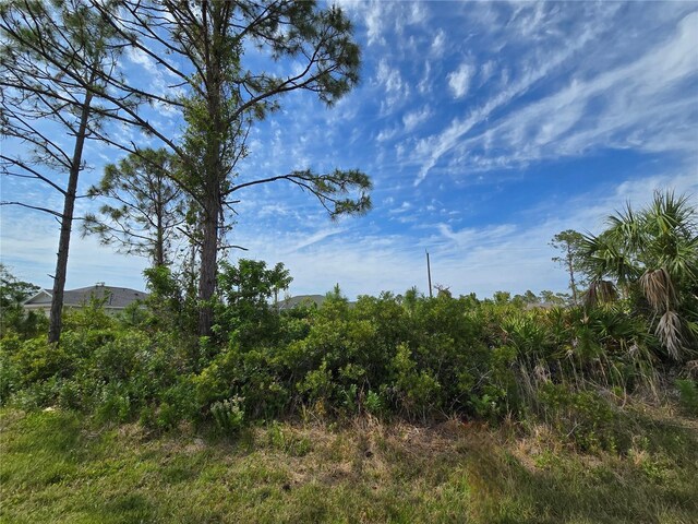 12136 Gordon Ave, Port Charlotte, FL 33981 - photo 3