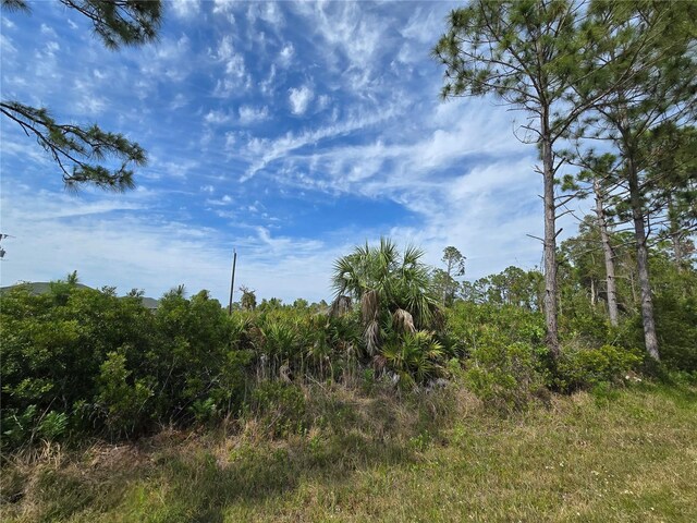 12136 Gordon Ave, Port Charlotte, FL 33981 - photo 4