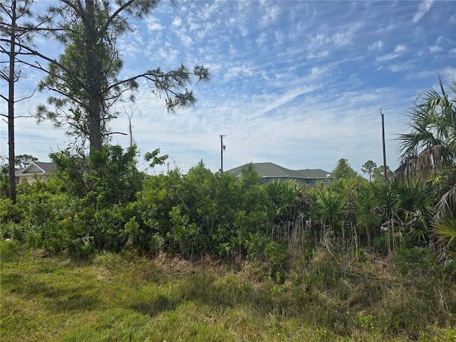 12136 Gordon Ave, Port Charlotte, FL 33981 - photo 5