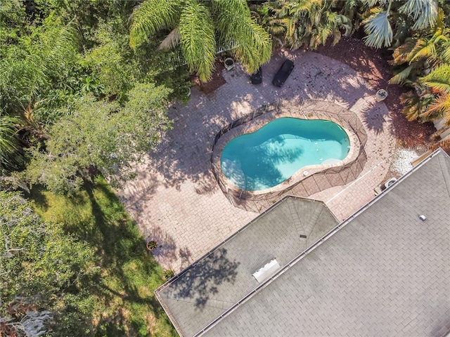 11102 Avery Oaks Dr, Tampa, FL 33625 - birds eye view of property