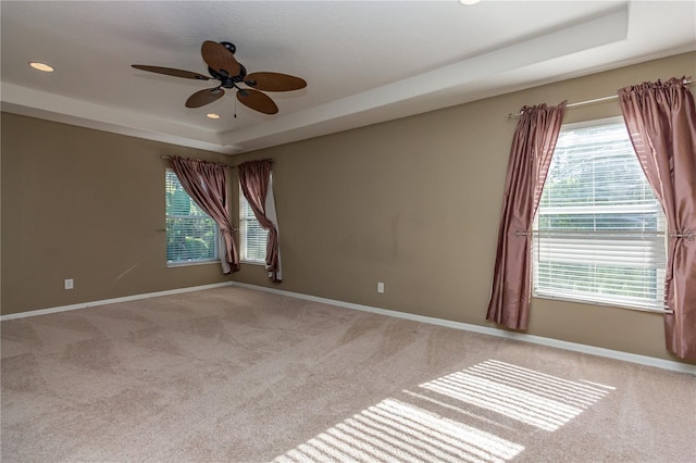 11102 Avery Oaks Dr, Tampa, FL 33625 - unfurnished room with carpet floors, a tray ceiling, and baseboards