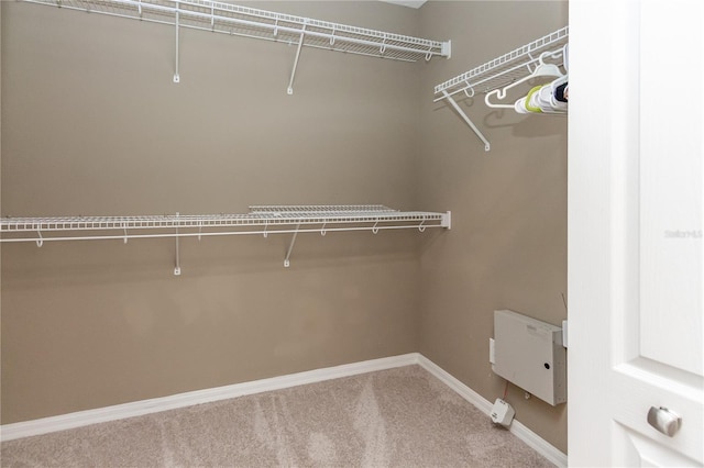 11102 Avery Oaks Dr, Tampa, FL 33625 - walk in closet with carpet floors