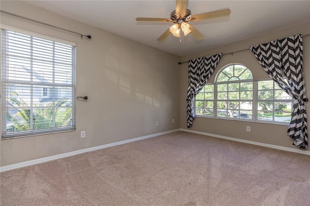 11102 Avery Oaks Dr, Tampa, FL 33625 - carpeted empty room with a ceiling fan and baseboards
