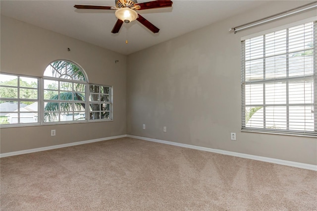 11102 Avery Oaks Dr, Tampa, FL 33625 - empty room featuring baseboards, a ceiling fan, and carpet flooring