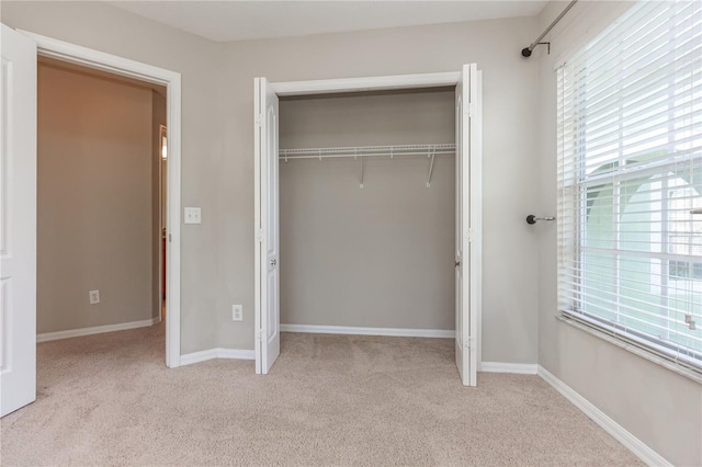 11102 Avery Oaks Dr, Tampa, FL 33625 - unfurnished bedroom featuring baseboards, carpet flooring, and a closet